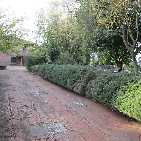 Fontanelle *