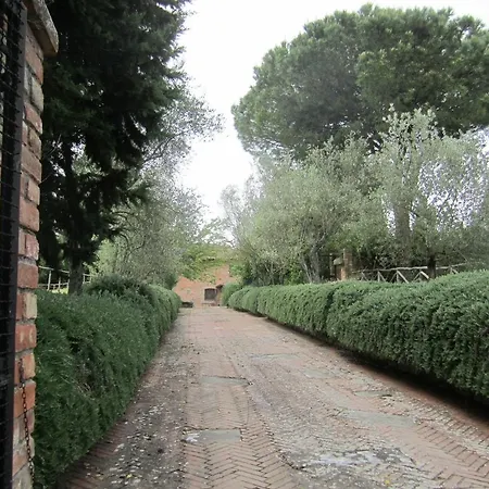 Fontanelle